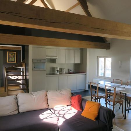 B&B / Studio De Druivelaar In Hartje 克勒伊斯贝尔亨 外观 照片