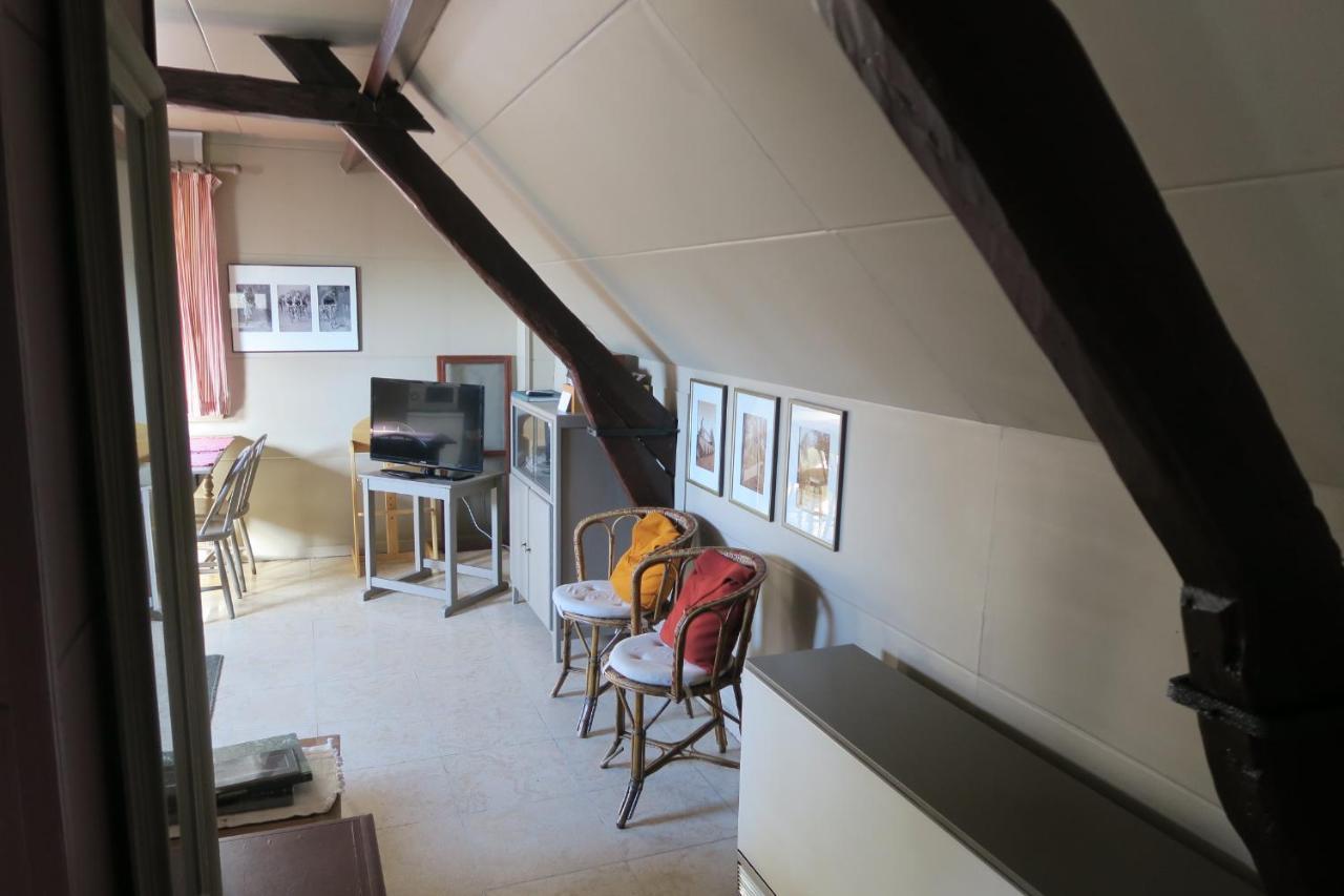 B&B / Studio De Druivelaar In Hartje 克勒伊斯贝尔亨 外观 照片